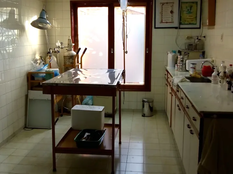 Sala de atención del consultorio: camilla, lámpara, ventanal y mesada con insumos.