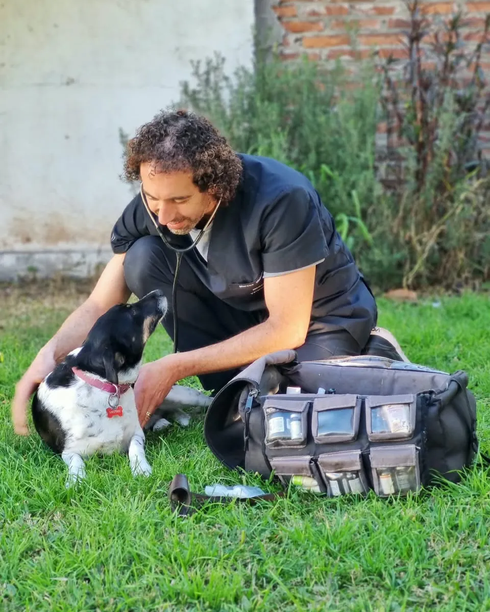Marcos Malerbi agachado en el pasto, con el estetoscopio al cuello, acariciando a un perro blanco y negro junto a su maletín veterinario.